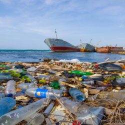 Cât plastic consumăm într-o săptămână