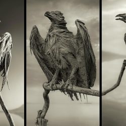 Misterul lacului care transforma orice fiinta in stana de piatra - VIDEO