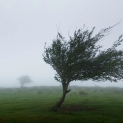 Cod galben de vânt în Caraș-Severin: rafale de până la 70 km/h!