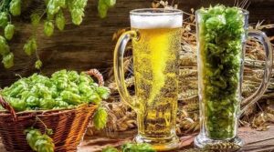 ''Părintele'' european dispărut al drojdiei de bere lager găsit de cercetători în Irlanda