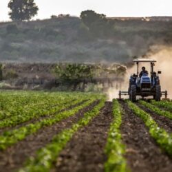 Fermierii sunt așteptați până pe 13 iunie  să depună Cererea de plată!