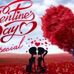 14 februarie – Ziua Îndrăgostiților, sărbătoarea iubirii în întreaga lume