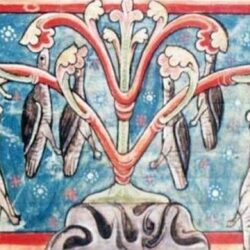 Atunci cand gastele cresteau in copaci…