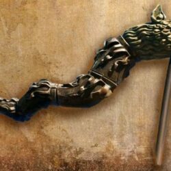 Băutura magică a dacilor, redescoperită!