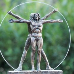 De ce avem două mâini şi două picioare?