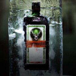 Ce trebuie să ştii despre Jagermeister