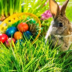 Tradiții și obiceiuri de Paște