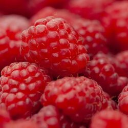 Cele mai sănătoase fructe din lume - Zmeura