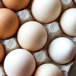 E bine să păstrezi ouăle în frigider?