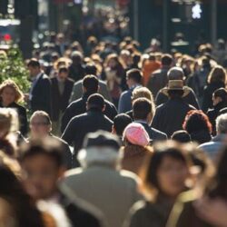 Rata șomajului în județ, la sfârșitul lunii iunie a fost de 3,34%. Numărul șomerilor înregistrați a fost de peste 3000 de persoane
