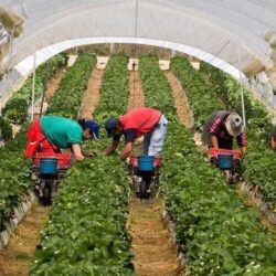 Aproape 180 de locuri de muncă vacante în Spaţiul Economic European