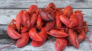În Elveţia a devenit ilegal să fierbi crustaceele vii