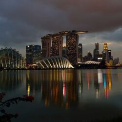 Cea mai scumpă experienţă gourmet din lume