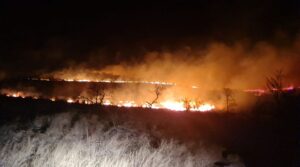 [VIDEO] Tragedie la Sacu și intervenție dramatică la Sichevița. Un bărbat a murit carbonizat, iar o femeie a fost salvată din calea flăcărilor