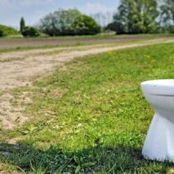 Despre toalete. Le ştiai?