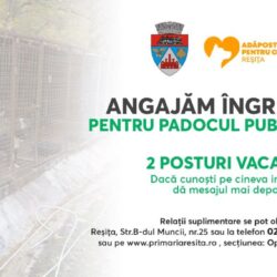 Padocul Public din Reșița are nevoie de doi îngrijitori!