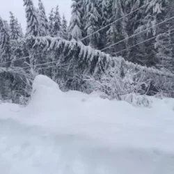 Nealimentate cu energie electrică 12 localități și 3900 de gospodării