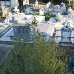 Biruri peste biruri !