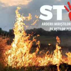 Arderea miriștilor, strict interzisă: fermierii riscă sancțiuni și pierderea subvențiilor