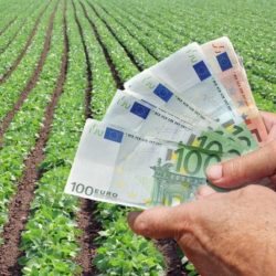 Fermierii pot obține până la 90% finanțare prin credite garantate pe baza adeverințelor APIA