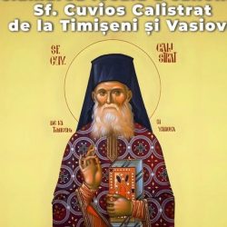 Hram la Mănăstirea Vasiova, în cinstea Sfântului Cuvios Calistrat