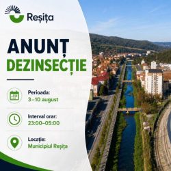Dezinsecție nocturnă împotriva țânțarilor în Reșița