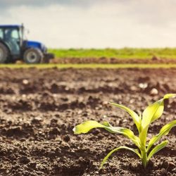 APIA Caraș-Severin: 31 august, ultima zi pentru vizarea carnetelor de rentier agricol