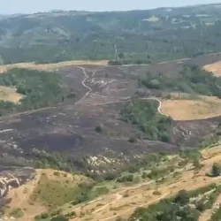 Lupta cu flăcările continuă pe Dealul Câlnicului (VIDEO)