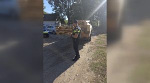 Controale în trafic pentru combaterea ilegalităților silvice