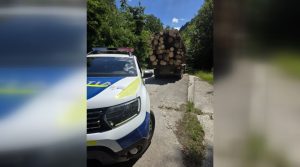 Aproape 400 de metri cubi de lemn, confiscați în Caraș-Severin