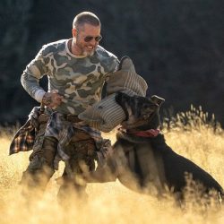 Heart of the Beast (În inima sălbăticiei)
