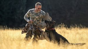 Heart of the Beast (În inima sălbăticiei)