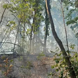 Ard mii de hectare în Caraș Severin (VIDEO)