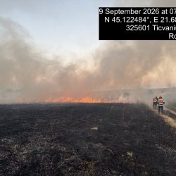 Incendii de vegetație în Caraș-Severin! Sute de hectare afectate. Pompierii intervin în mai multe zone