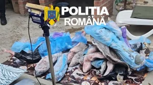 Percheziții, confiscări și arestări în zona Moldova Nouă(VIDEO)