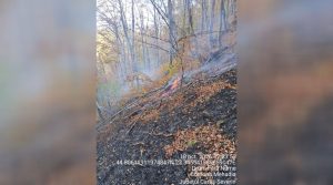 15 focare mocnite, depistate în Parcul Național Domogled – Valea Cernei