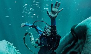 Whalefall: Contratimp în abis