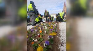 SPAIR continuă lucrările de întreținere în Caransebeș. Apel împotriva vandalismului