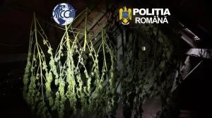 Un kilogram de cocaină, tranzacționat la Caransebeș pentru 60.000 de euro