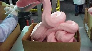 Cele mai periculoase alimente din lume! Majoritatea sunt interzise! (VIII) - Pink Slime
