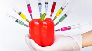 Cele mai periculoase alimente din lume! Majoritatea sunt interzise! (XIII) - Alimentele modificate genetic